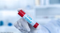 Injetar anticorpos pode evitar zika em gestantes