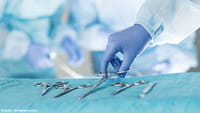 Rim, fígado e coração: os mais transplantados