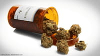 Pesquisa: cannabis pode rejuvenescer cérebro