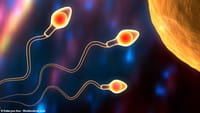 Gel contraceptivo masculino passa em teste