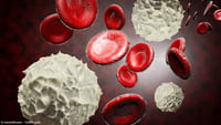 Obesidade pode levar à leucemia, diz pesquisa