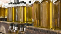 Alzheimer: azeite extravirgem protege cérebro