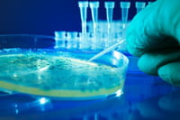 Cientistas criam esperma in vitro
