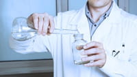 Substância da ayahuasca regenera neurônios