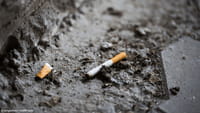 Tabaco causa prejuízo de R$ 56,9 bilhões ao país