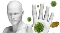 Antibiótico contra fungos descoberto em formigas