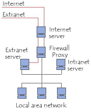 Intranet/extranet system