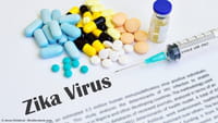 Estudo diz que há risco de nova epidemia de zika