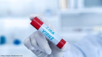 Injetar anticorpos pode evitar zika em gestantes