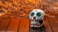 Halloween chega ao Instagram