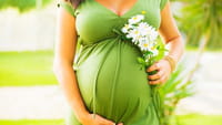 Mudanças para grávidas um ano após zika