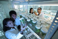 Bactérias resistentes ameaçam 10 milhões