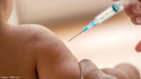 Vacina contra zika tem suceso em proteger ratos