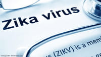 Vírus zika sobrevive horas fora do organismo