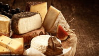 Queijo pode prolongar a vida e evitar o câncer